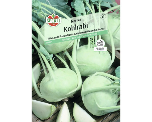 Kohlrabi Noriko Sperli Samenfestes Saatgut Gemüsesamen