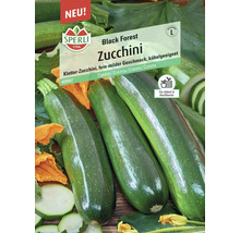 Zucchini Black Forest, F1 Sperli Hybrid-Saatgut Gemüsesamen