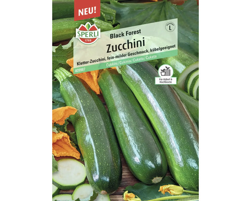 Zucchini Black Forest, F1 Sperli Hybrid-Saatgut Gemüsesamen Sperli Black Forest Zucchini Samenpackung