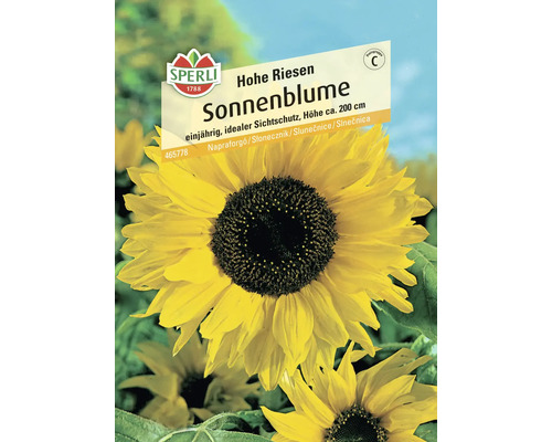 Sonnenblume Hohe Riesen Sperli Samenfestes Saatgut Blumensamen