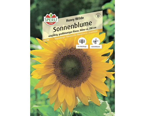 Sonnenblume Henry Wilde Sperli Samenfestes Saatgut Blumensamen