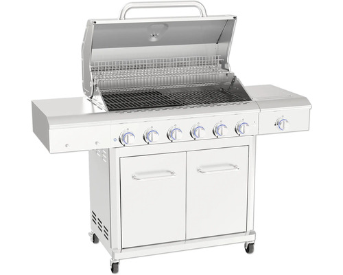 Gasgrill mit sechs Brennern, Ablageflächen und Unterschrank