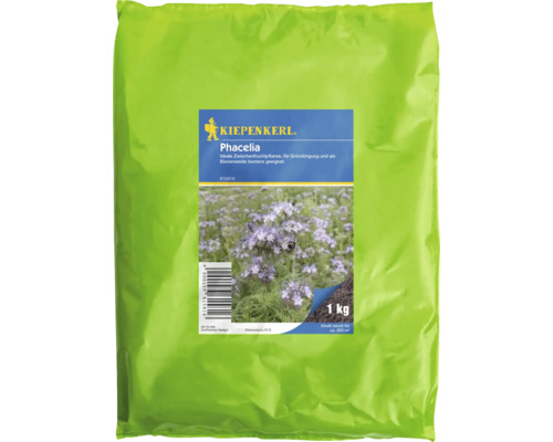 Phacelia Kiepenkerl Blumensamen 1 kg