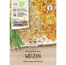 Bio-Weizensamen für Grünsprossen- & Keimsprossen-Anzuchtset, 3 Stk