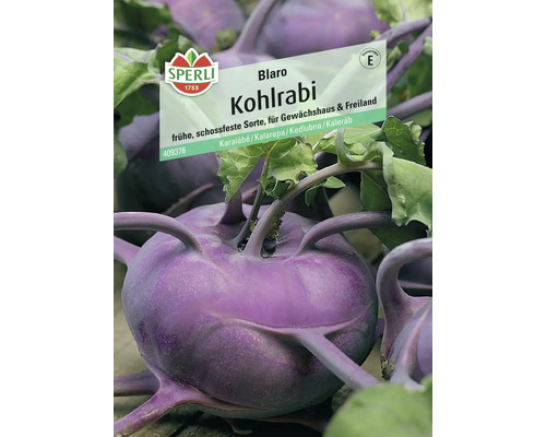 Kohlrabi 'Blaro' Sperli Gemüsesamen