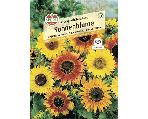 Sonnenblume Farbenpracht Mischung Sperli Blumensamen