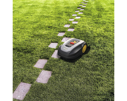 Rasenmähroboter auf einer Rasenfläche mit Steinplattenweg