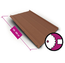 Trapezblech mit einer Länge von 100 bis 600 cm
