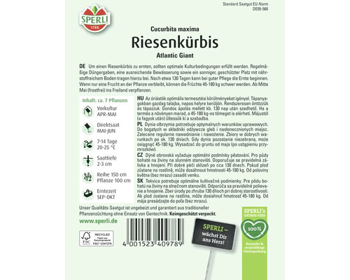 Samenpackung Riesenkürbis Atlantic Giant der Marke Sperli