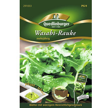Rucola Wasabi-Rauke Quedlinburger Gemüsesamen