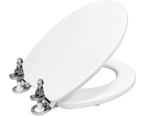 Toilettendeckel aus Kunststoff mit Chrombeschlägen