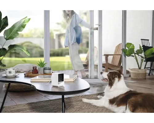 Innenaufnahme einer Frau, die durch eine Tür in einen Raum tritt, in dem ein Hund und eine Überwachungskamera auf einem Tisch stehen