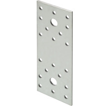 Flachverbinder BB Stanz 100x20 mm sendzimirverzinkt 1 Stück
