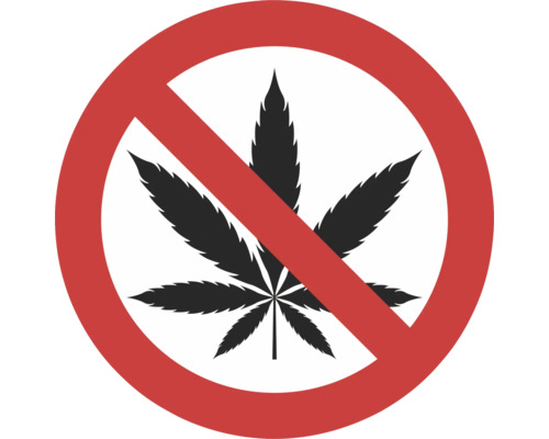 Hinweisschild "Cannabis verboten" 150x150 mm