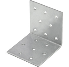 Lochplattenwinkel BB Stanz 100x100x100 mm sendzimirverzinkt 1 Stück