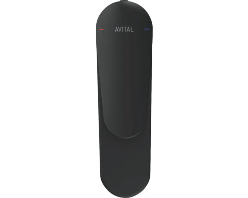 Avital Küchenarmatur in dunkler Ausführung