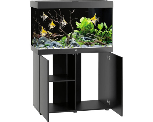 Aquarium mit Unterschrank und Fischen