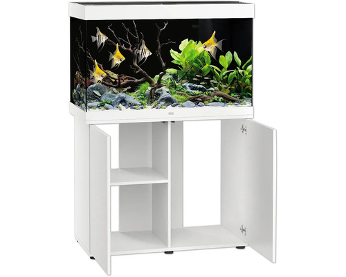 Komplettes Aquarium mit Schrank und tropischen Fischen