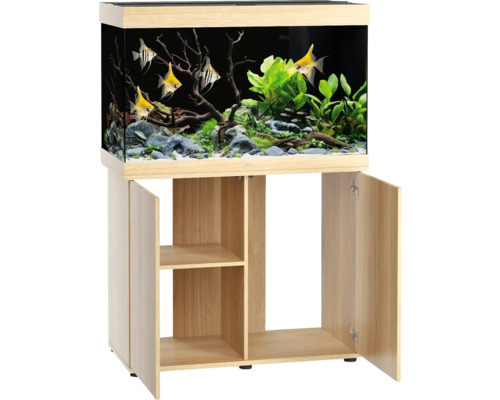 Komplettes Aquarium mit Fischen, Pflanzen und Unterschrank