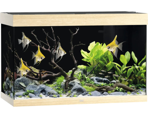 Aquarium JUWEL Rio 290 SBX mit LED-Beleuchtung, Heizer, Filter ohne Unterschrank helles Holz, ca. 101 x 51 x 66 cm, ca. 290 L