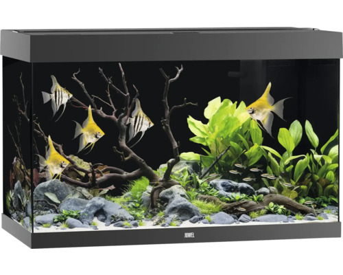 Aquarium JUWEL Rio 290 SBX mit LED-Beleuchtung, Heizer, Filter ohne Unterschrank schwarz, ca. 101 x 51 x 66 cm, ca. 290 L