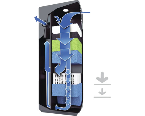 Aquariumfilter Funktionsweise mit Filtermaterialien und Wasserflussrichtung
