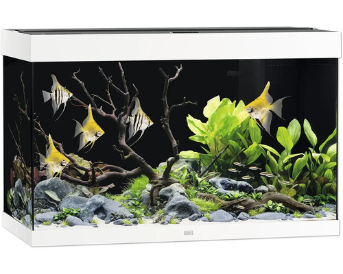 Aquarium JUWEL Rio 290 SBX mit LED-Beleuchtung, Heizer, Filter ohne Unterschrank weiß, ca. 101 x 51 x 66 cm, ca. 290 L