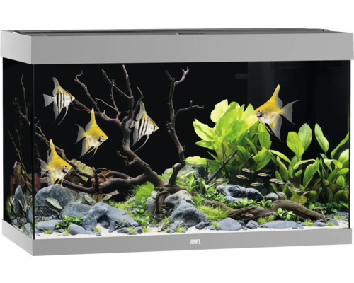 Aquarium JUWEL Rio 290 SBX mit LED-Beleuchtung, Heizer, Filter ohne Unterschrank grau, ca. 101 x 51 x 66 cm, ca. 290 L