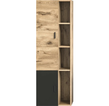 Hoher Schrank mit Regalen und Tür