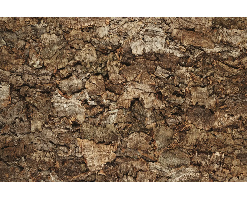 Kork Wandpaneel Wall Trend Rustic Virgin 600 x 300 x 30 mm Nahaufnahme einer Korkoberfläche mit verschiedenen Texturen