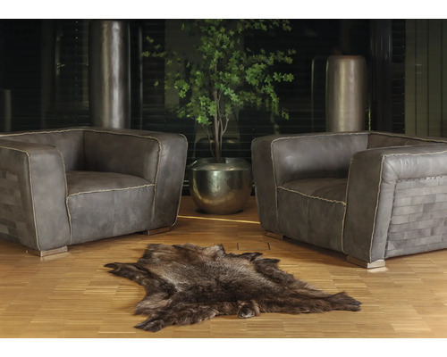 Wohnzimmer mit zwei Sesseln, einem Fellteppich und einer Topfpflanze