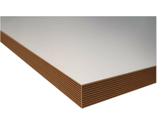 Furniersperrholzplatte mit Beschichtung