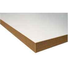 Sperrholzplatte mit Beschichtung