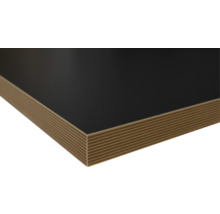 Schichtplatte mit Beschichtung