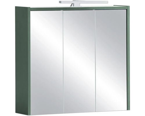 Spiegelschrank Lovis 65 x 16 x 62,7 cm grün 3-türig LED