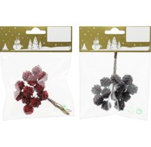 Dekorative Beerenbündel in Verpackung