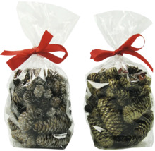 Zwei Beutel mit Tannenzapfen und Schleife als Dekoration