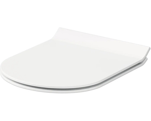 Toilettendeckel aus Kunststoff