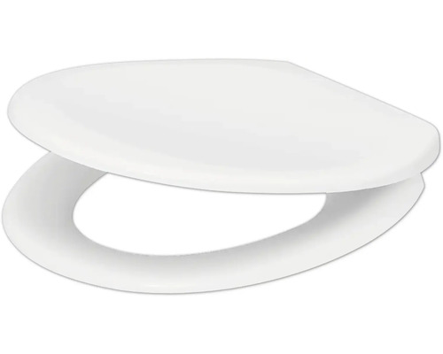 Toilettendeckel aus Kunststoff