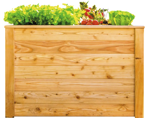 Hochbeet klassisch WESTMANN Klassic 100 x 65 x 66 cm natur
