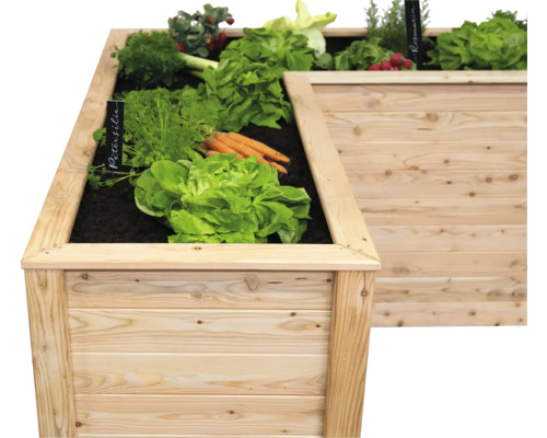 Hochbeet aus Holz bepflanzt mit Salat, Karotten, Petersilie und Rosmarin