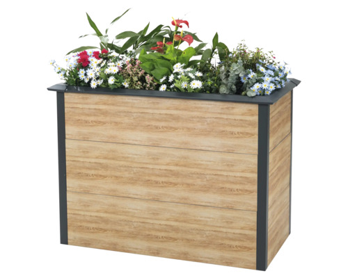 Blumenkasten mit Holzoptik und diversen Pflanzen