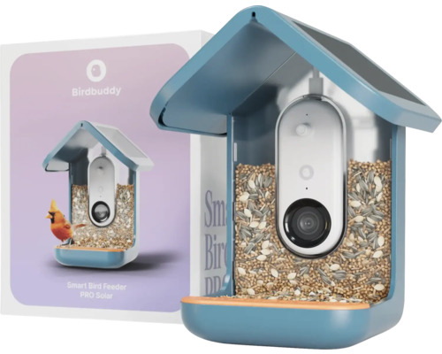 Smartes Vogelhaus mit Kamera und Vogelfutter