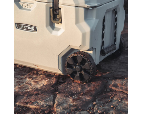 Kühlbox mit Rädern und Lifetime Logo