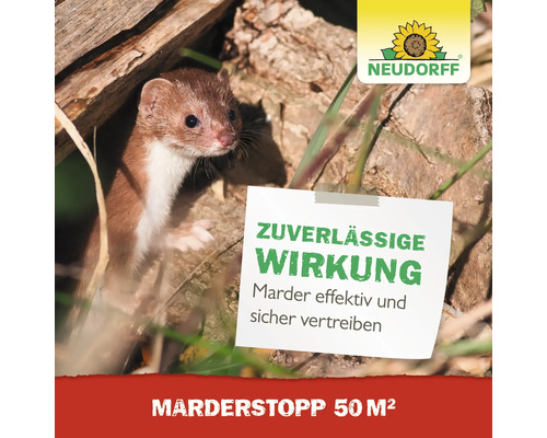 Ein Hermelin schaut aus seinem Bau, daneben ein Zettel mit dem Text Zuverlässige Wirkung und darunter Marder effektiv und sicher vertreiben. Darüber befindet sich das Neudorff Logo und unterhalb der Schriftzug Marder Stopp 50 Quadratmeter.