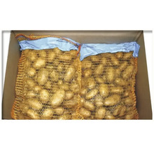 Pflanzkartoffel Quedlinburger 'Gala' 2,5 kg, frühe Sorte, vorwiegend festkochend
