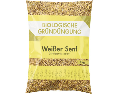 Gründünger Gelbsenf 1 kg