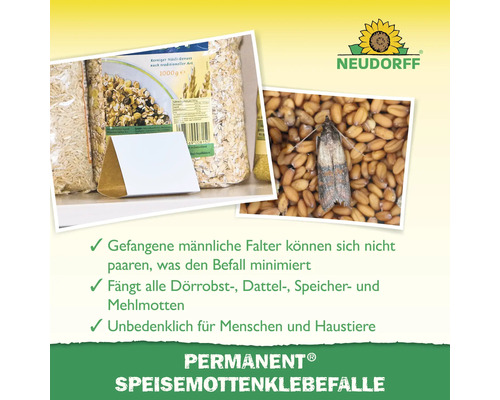 Permanent Speisemottenklebefalle mit Lebensmittelmotten in Getreide und Neudorff Logo