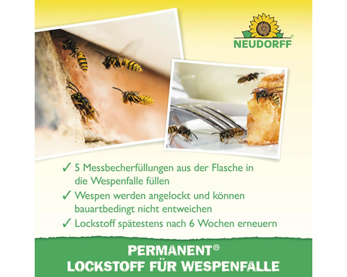 Illustration der Anwendung von Neudorff Wespenfallen-Lockstoff mit Wespen an einem Haus und an einem Teller mit Essen. Neudorff Logo.