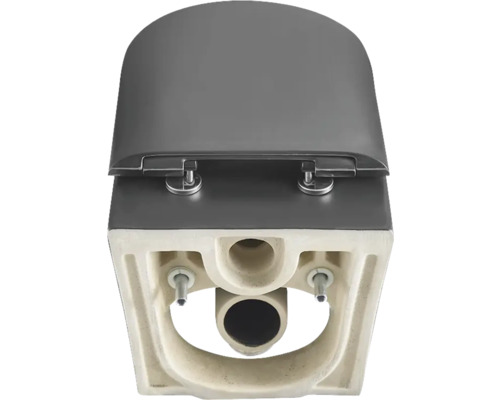 Aufnahme eines Tiefspül-WCs mit geschlossenem Spülrand